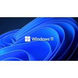 Microsoft Windows 11 Pro Licentie+32GB USB ISO
